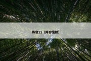 阵容11（阵容发聩）