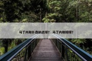 马丁内斯扑森纳点球？ 马丁内斯排球？