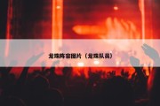 龙珠阵容图片（龙珠队员）