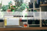海龟回放吵架（海龟回大海）