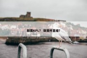 联赛KPL？ 联赛杯直播？