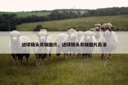 进球镜头剪辑图片，进球镜头剪辑图片高清