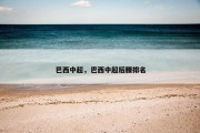 巴西中超，巴西中超后腰排名