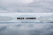 弹唱足球（足球弹钢琴）