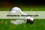 俄罗斯吉祥物介绍，俄罗斯吉祥物是什么动物