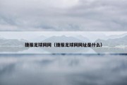 捷报足球网网（捷报足球网网址是什么）