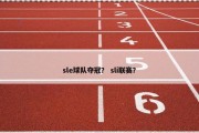 sle球队夺冠？ sli联赛？