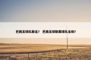 巴西足球队联名？ 巴西足球联赛球队名称？