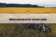 哪里可以买到金色切尔西（切尔西什么颜色）