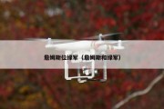 詹姆斯位绿军（詹姆斯和绿军）