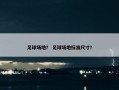 足球场地？ 足球场地标准尺寸？