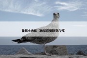 曼联小纳豆（纳尼在曼联穿几号）