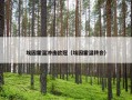 埃因霍温冲击欧冠（埃因霍温转会）