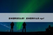 欧米茄阵容怎么摆？ 欧米茄带什么兵 nga？