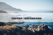 车祸生死回放（车祸生死回放完整版）