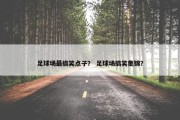 足球场最搞笑点子？ 足球场搞笑集锦？
