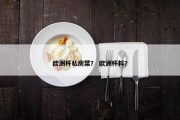 欧洲杯私房菜？ 欧洲杯料？