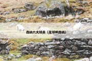 森纳六大球员（足球啊森纳）
