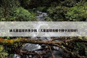 迪儿童篮球衣多少钱（儿童篮球衣哪个牌子比较好）