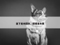 棠下龙舟回放，新塘龙舟赛