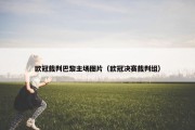 欧冠裁判巴黎主场图片（欧冠决赛裁判组）