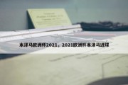 本泽马欧洲杯2021，2021欧洲杯本泽马进球