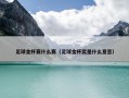 足球金杯赛什么赛（足球金杯奖是什么意思）