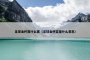 足球金杯赛什么赛（足球金杯奖是什么意思）