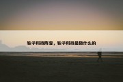 轮子科技阵容，轮子科技是做什么的