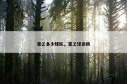 意乙多少球队，意乙球员榜