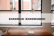 意大利足球队兴衰（意大利足球队百度百科）