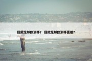 回放足球欧洲杯？ 回放足球欧洲杯直播？