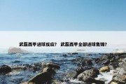 武磊西甲进球反应？ 武磊西甲全部进球集锦？