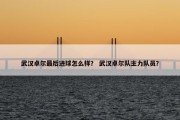 武汉卓尔最后进球怎么样？ 武汉卓尔队主力队员？