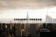 队恶意进球事件（球场恶意犯规）