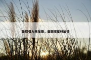 曼联引入林加德，曼联球星林加德