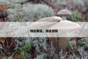博击赛程，博击视频
