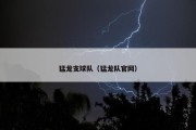 猛龙支球队（猛龙队官网）