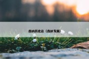 森纳历史总（森纳发展）