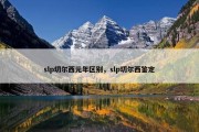 slp切尔西元年区别，slp切尔西鉴定