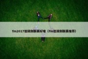 fm2017低级别联赛好难（fm低级别联赛推荐）