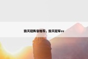 毁灭冠阵容推荐，毁灭冠军sv