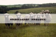 利物浦球队全成员图片（利物浦全部球员）