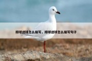 排球进球怎么描写，排球进球怎么描写句子