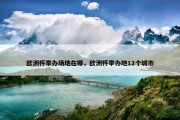 欧洲杯举办场地在哪，欧洲杯举办地12个城市