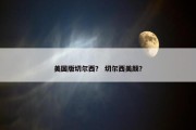 美国版切尔西？ 切尔西美颜？