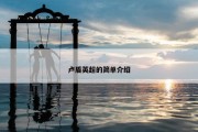 卢盾英超的简单介绍