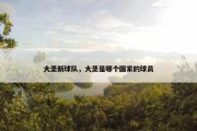 大圣新球队，大圣是哪个国家的球员