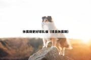 休赛期更好球队谁（球员休赛期）