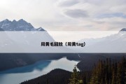 周黄毛回放（周黄tag）